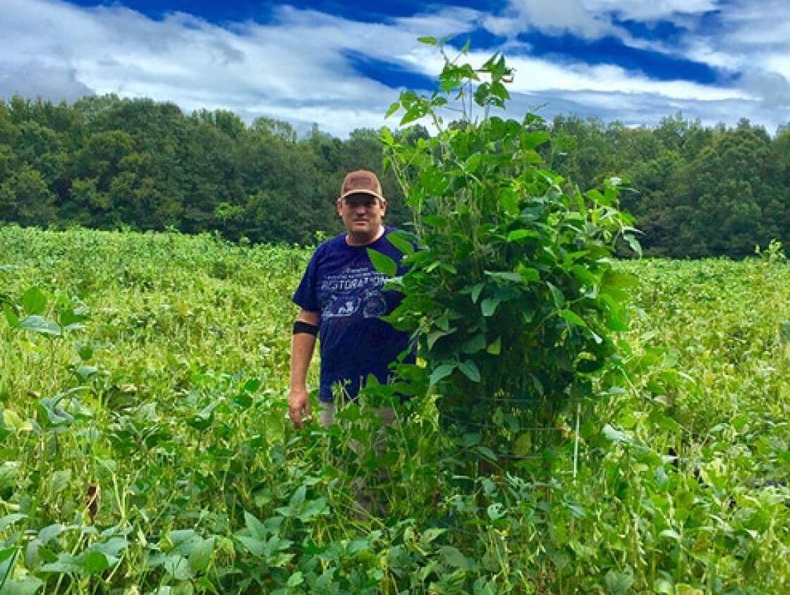 Titan Forage RR Soybean Soybean Southeast AgriSeeds